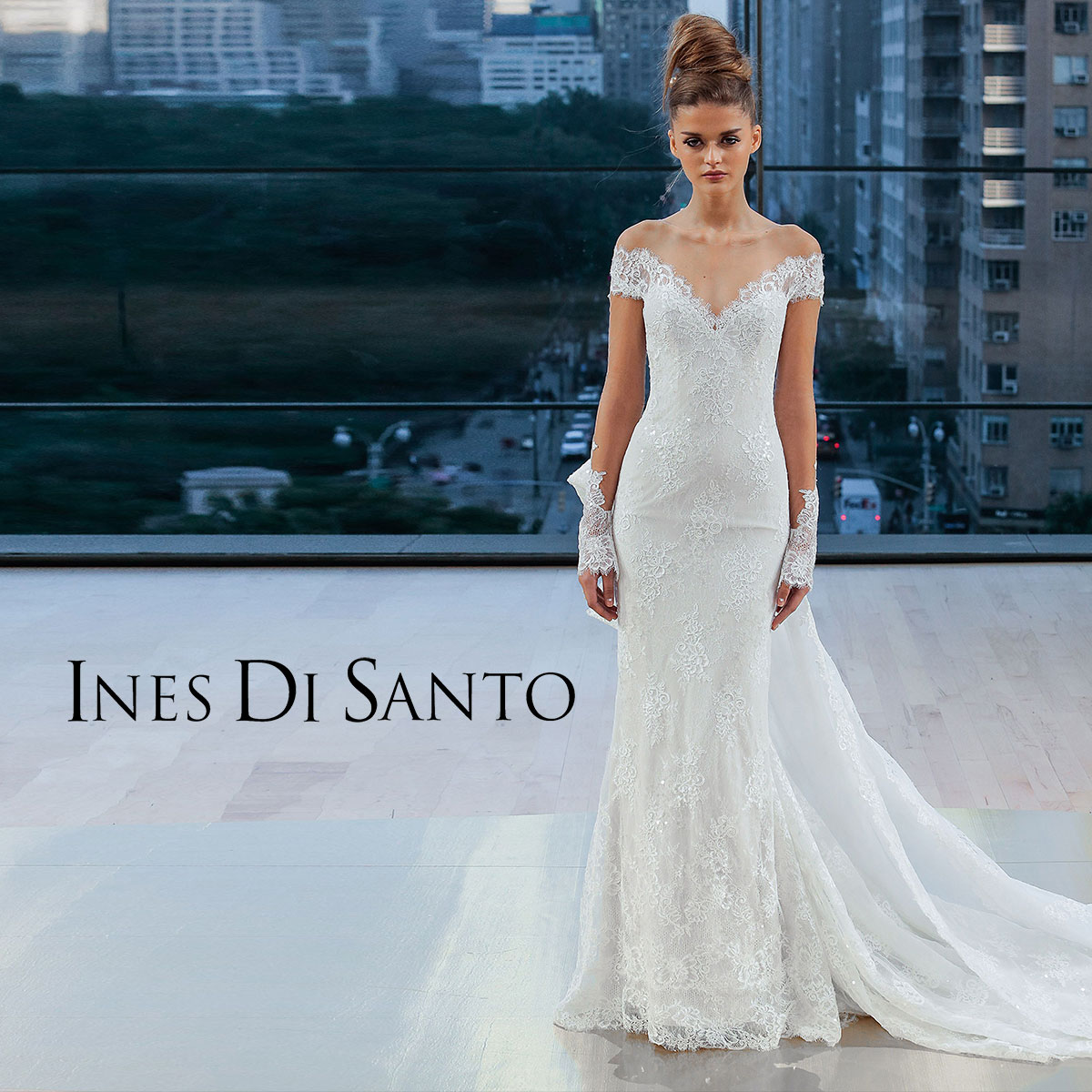 ines1
